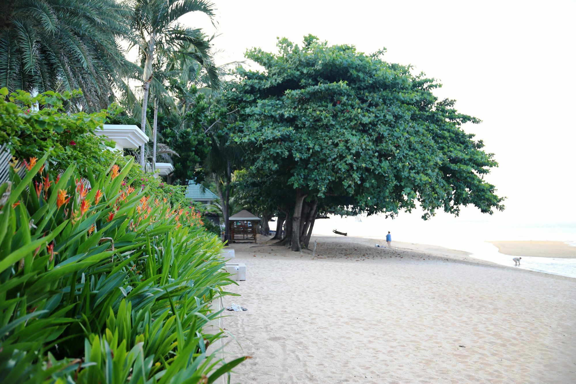 Baan Dhewaran Beachfront Villa Na Chom Thian Eksteriør billede